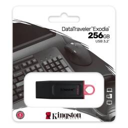 PEN DRIVE KINGSTON 256GB DTX/256GB